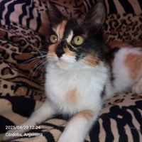 Sebas Gutierrez's Photo