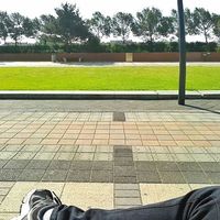 Pál Sáfár的照片