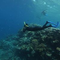 Sandro Runzer's Photo