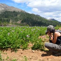 Nathaly  Camargo's Photo