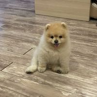 Olivia Olivia's Photo