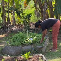 Mownicaa Mani's Photo