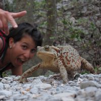 Léa Clédon的照片