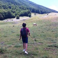 Adriano Ferrara的照片