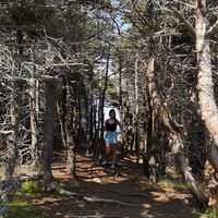 Alicia Williams的照片