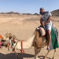 MahmOod Saber's Photo