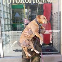 Fotos de Andrea Alessandro Graziani Favilli