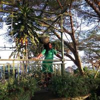 Charlotte Atukunda's Photo