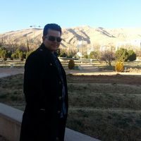 Ali Davoodi的照片