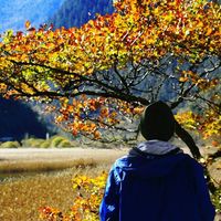 Anders Nordhag's Photo