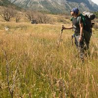 Orlando Bruno's Photo