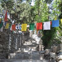 Raju  Thakur的照片