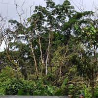 Aaron Mendez's Photo