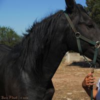 Nicole Catella's Photo