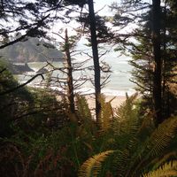 Photos de Perry Bressman