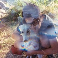 Sergio Perez's Photo