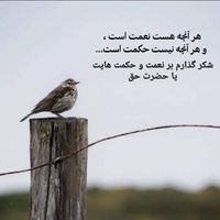 Ahmad Walid Nawandish's Photo