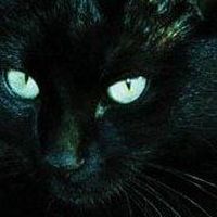 Małgorzata Jackiewicz's Photo