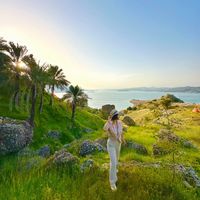 Mahsa Saeedi's Photo