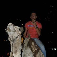 Le foto di Ossama Ahmed