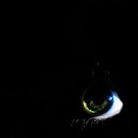 Felipe Castaño Estrada的照片