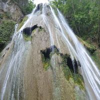 Luz Jazmin Emus的照片