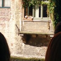 Zdjęcia użytkownika Neelesh  Tanwar