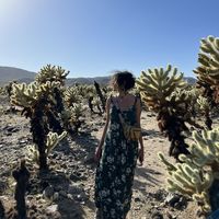 Yagmur Aslan的照片