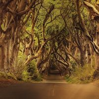 Phoenix Love's Photo