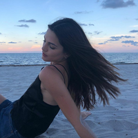 Abeja Reina的照片