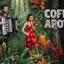 Live music in an intimate setting's picture