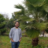 Kiyarash Mahboub's Photo