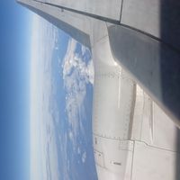 Carolina Ramos Barroso's Photo