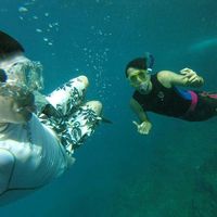 Anthony Brewer的照片