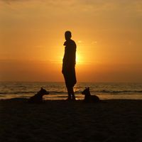 Фотографии пользователя Adam Mac Carthy