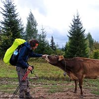 Pavlo Savenok的照片