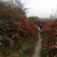 Boglárka Varga的照片