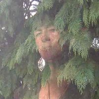 Lisa Griffin's Photo