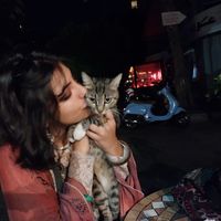 Dima Safwan的照片