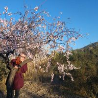 Johanna Illies's Photo