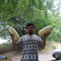 Fotos de Jose Bergese