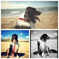 Le foto di Vanessa Banti