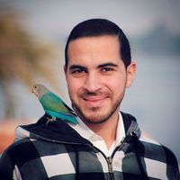 Fotos de Tarek Eldery