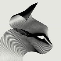 Felipe Mares's Photo