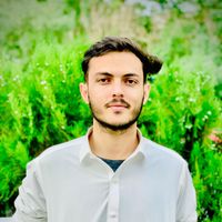 Hamayon Safi's Photo