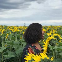 Fotos de Daniela Batalha