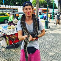 Max Gandolfo的照片