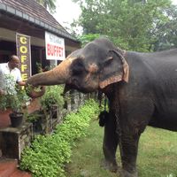 Lalith Perera's Photo