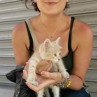 Fotos von Alice Dorbe