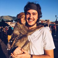 Matt Linnell's Photo